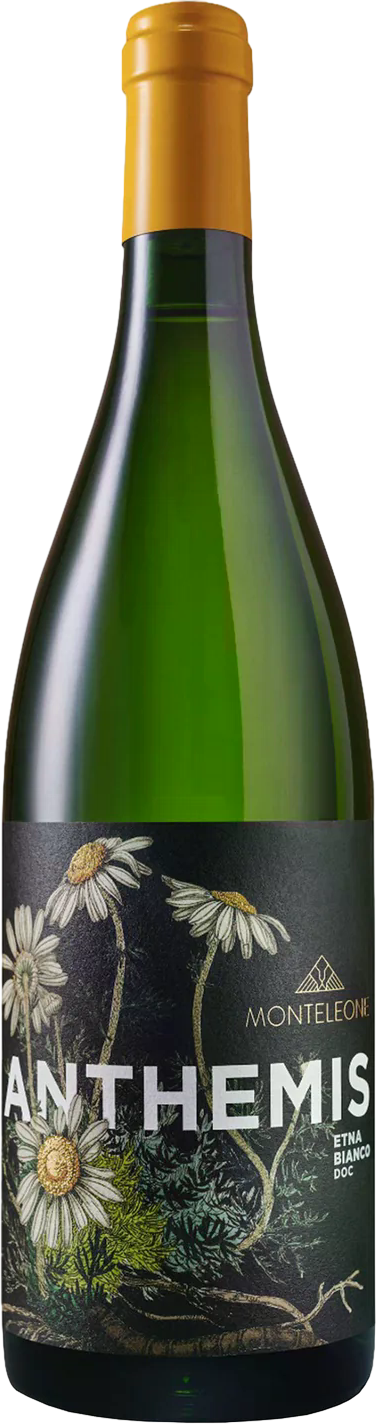 Wine bottle image